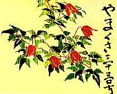 Clematis alpina var. fujijamana ミヤマハンショウヅル