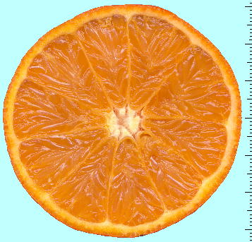 Citrus tankan (fruits) ^J ʎf