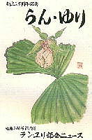 クマガイソウ　Cypripedium japonicum