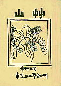 Pieris japonica (Thunb.) D. Don AZr