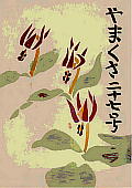 Erythronium japonicum Decne カタクリ