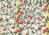 Prunus incisa Thunb. マメザクラ (フジザクラ)