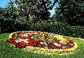 Flower clock:Geneva, Switzerland XCX:Wl[us̉Ԏv